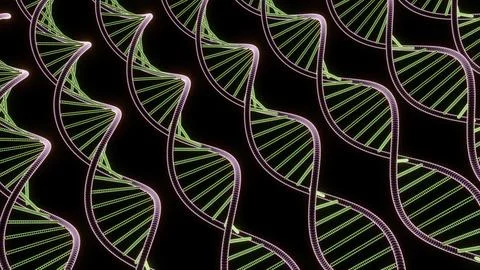 Black background. Design. Iridescent colored sinuous genetic codes in animation. Stock Illustration
