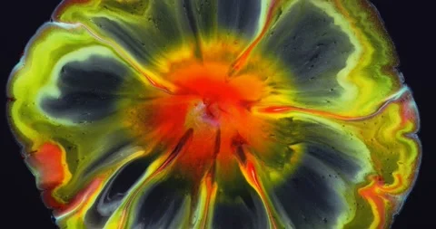 On a black background, a divergent blurry circle of red-yellow, white flowers Stock Footage 241030742