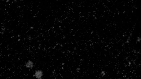 Black background with falling snow Stock Footage 340154503