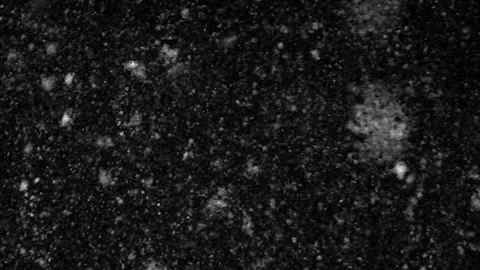 Black background with falling snow 스톡 동영상 342596813
