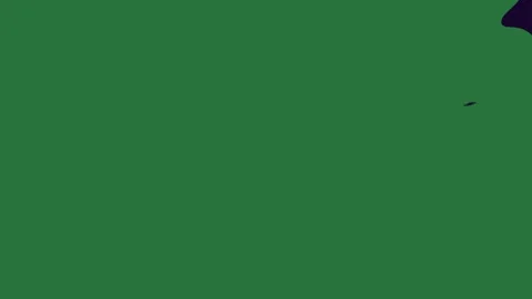 A black background with green circle and paint splash on sp spe leaf spots Vidéo 335066083