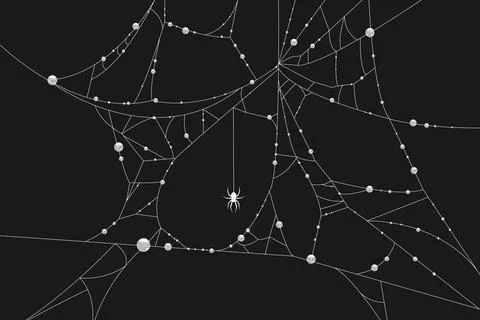 Black background with a hand drawn white spider web decorated with water drops Stock Illustration