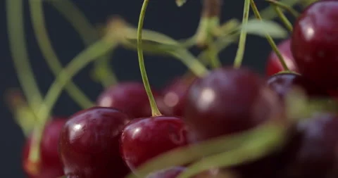 Black Background Macro of Turning Red Cherries Vídeo Stock 135637180
