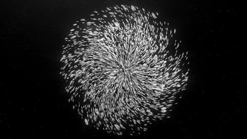 Black background. Motion . Bright multicolored animation of fire show fireworks 스톡 일러스트