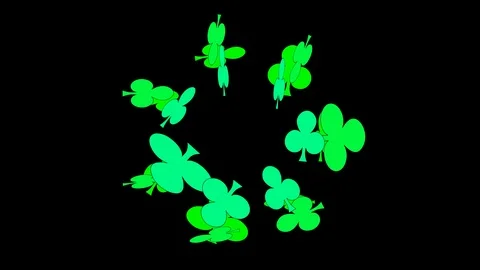 Black background with moving clover Video stock 103120927