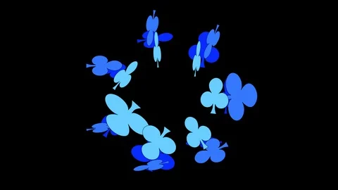 Black background with moving clover Stock Footage 103121250