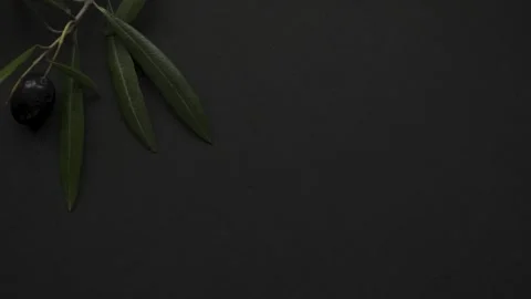 Black background with olive leaves and fruit slomo 4k 10bit Stock Footage 334677579