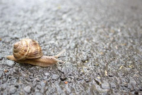 Black background Stock Photos