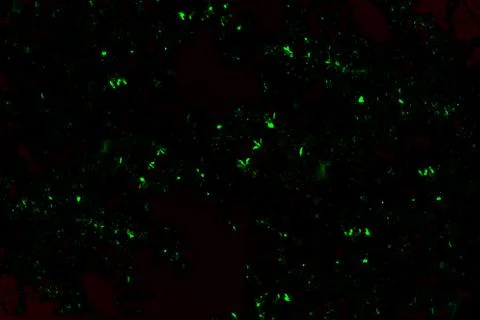 Black background with shining elements of luminosity Stock Photos