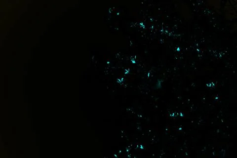 Black background with shining elements of luminosity Fotos Stock