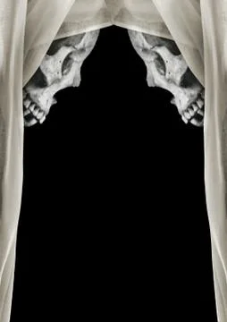 Black Background with Skulls Borders Decoration Stock Illustration