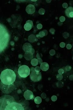 Black Background with Soft Green Bokeh Lights and Abstract Glowing Effects Stock Photos