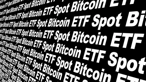 Black background spot bitcoin etf digital investment worth holding onto Video stock 259690030