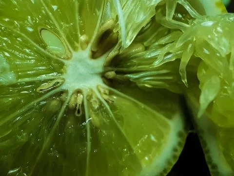 On a black background there is a half-cut lemon and it contains seed. Stock Photos