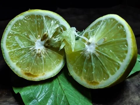 On a black background there is a half-cut lemon and it contains seed. Stock Photos