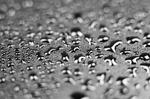 Black background with water drops, selective focus. Stock Photos