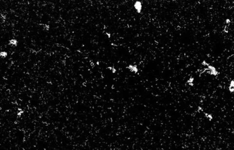 Black background with white specks pattern. Stock Photos