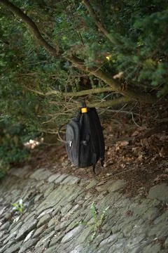 Black backpack hanging on tree branch in city park as lost property concept Stock Photos