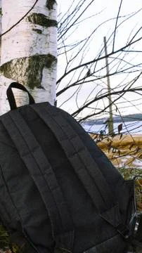 Black backpack nature background Stock Photos