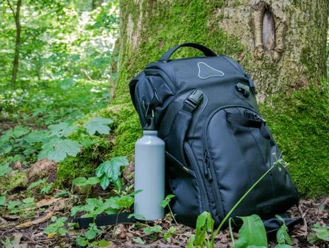 A black backpack next to a tree trunk with green moss. Hiking excursion conce Foto stock