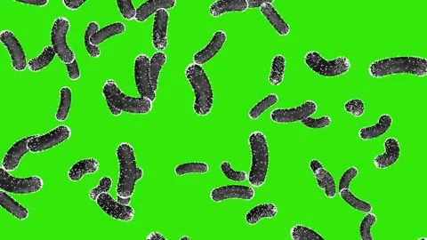 Black bacteria rain down on a green screen.  Scientific concept. Stock Footage 252587357