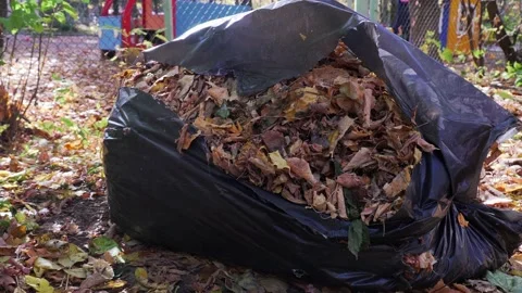 Black bag with garbage Stock Footage 142231909