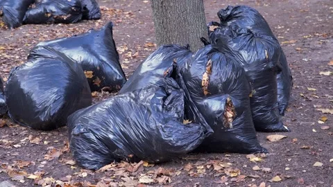 Black bags with garbage Stock Footage 142231963
