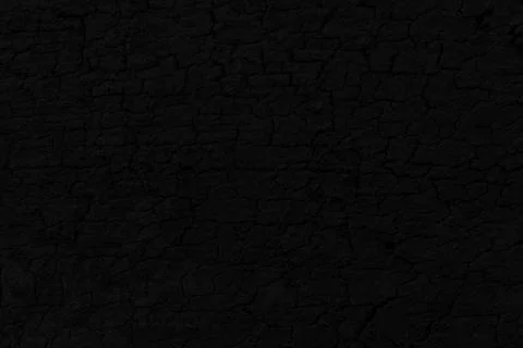 Black Bark Texture Background. Stock Photos
