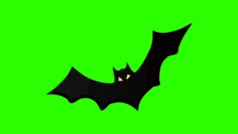 Black bat cartoon green screen. kids animation on green background. halloween 動画素材 313225375