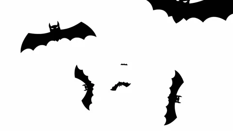Black bats fly white Stock Footage 161072961