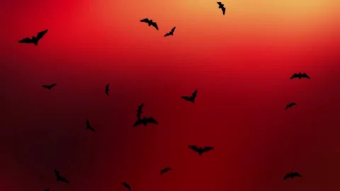 Black Bats Flying Randomly on Red 4K Loop Stock Footage 341289127