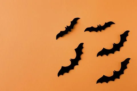 A black bats Stock Photos