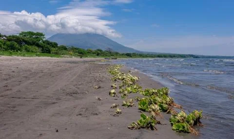 Black beach and vulcano Stock Photos