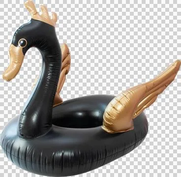 Black beach inflatable swan Stock Illustration
