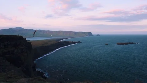 Black beach. Reynisdrangar, Vik 스톡 동영상 82321984