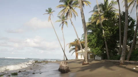Black Beach of St. Kitts Stock Footage 998916