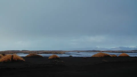 Black Beach Texture with yellow grass icelandic moss forming patterns in Iceland Stock Footage 260932660