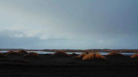 Black Beach Texture with yellow grass icelandic moss forming patterns in Iceland Stock Footage 260932754
