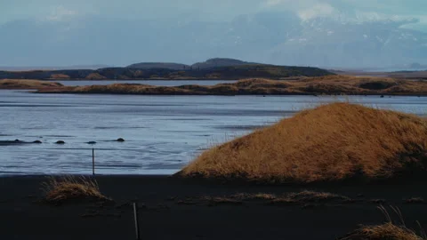 Black Beach Texture with yellow grass icelandic moss forming patterns in Iceland Stock Footage 260933793