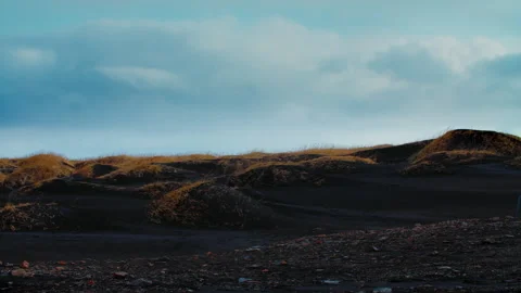 Black Beach Texture with yellow grass icelandic moss forming patterns in Iceland Stock Footage 260933873