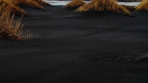 Black Beach Texture with yellow grass icelandic moss forming patterns in Iceland Stock Footage 260938162
