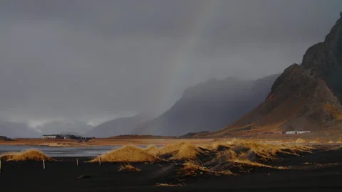 Black Beach Texture with yellow grass icelandic moss forming patterns in Iceland Stock Footage 260949866
