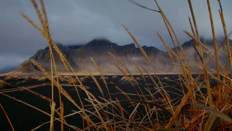 Black Beach Texture with yellow grass icelandic moss forming patterns in Iceland Stock Footage 260950691