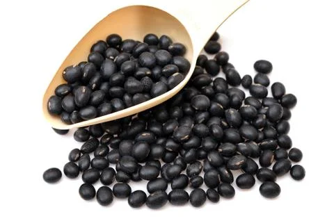 Black bean and plastic spoon Stock Photos