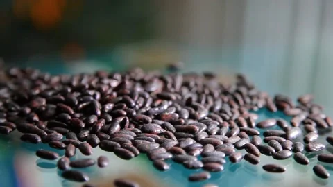 Black bean beans. Stock Footage 201722191