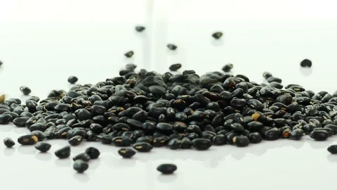 Black bean falling. Stock Footage 89612268