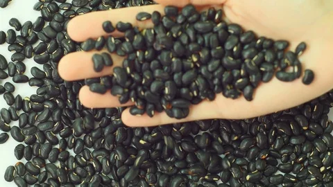 Black bean falling from hand. Stock Footage 89612741