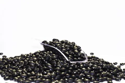 Black bean isolated on white background Stock Photos