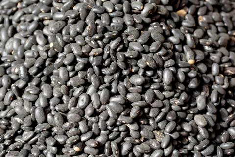 Black bean Stock Photos