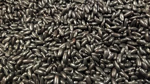 Black bean seed  background with copy space Stock Photos